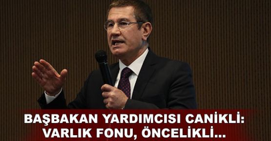  Başbakan Yardımcısı Canikli: Varlık Fonu, öncelikli...