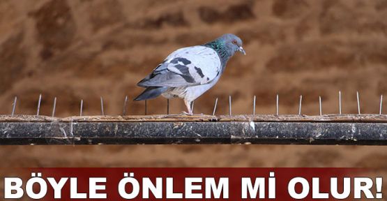 Böyle önlem mi olur?