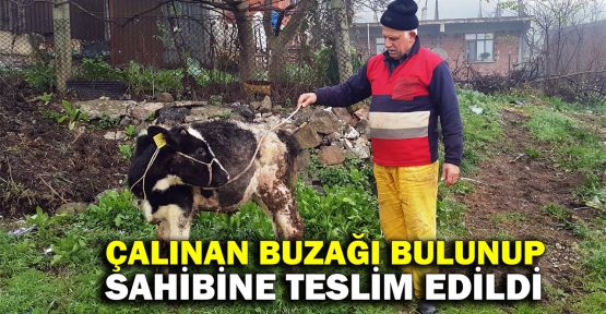  Çalıntı ihbarı yapılan buzağı sahibine teslim edildi