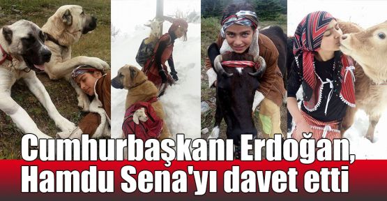  Cumhurbaşkanı Erdoğan, Hamdu Sena'yı davet etti