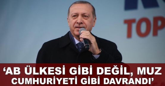   Cumhurbaşkanı Erdoğan'dan İzmit'te, Hollanda'ya tepki