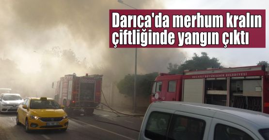 Darıca'da merhum kralın çiftliğinde yangın çıktı