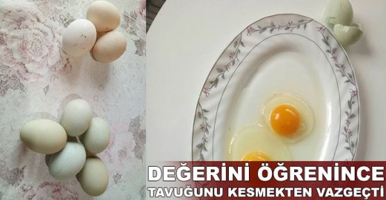 Değerini öğrenince tavuğunu kesmekten vazgeçti