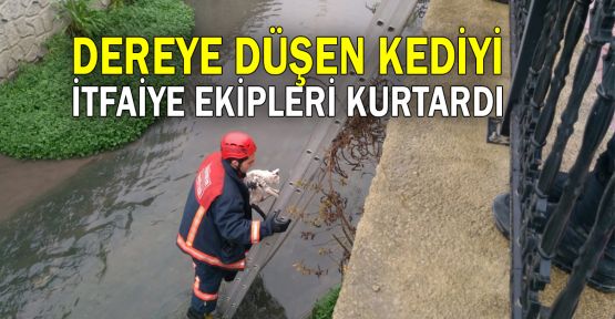  Dereye düşen kediyi itfaiye ekipleri kurtardı