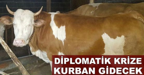 Diplomatik krize kurban gidecek