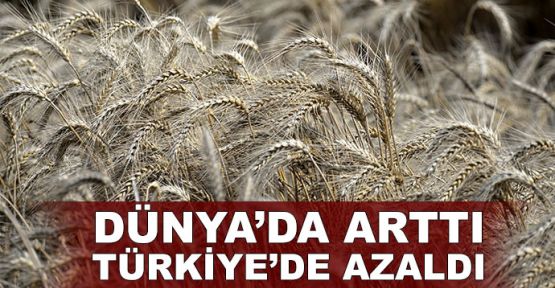 Dünyada arttı, Türkiye'de azaldı