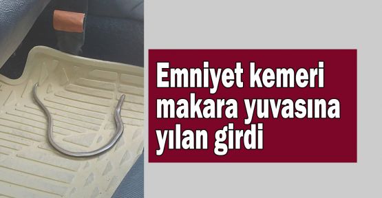 Emniyet kemeri makara yuvasına yılan girdi