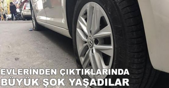 Evlerinden çıktıklarında büyük şok yaşadılar