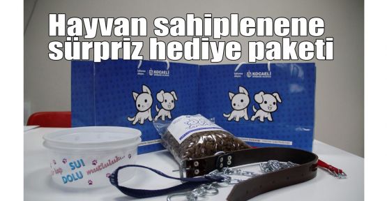 Hayvan sahiplenene hediye paketi