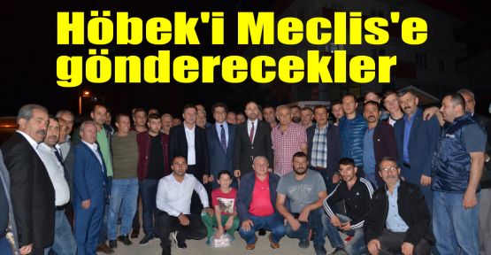  Höbek'i Meclis'e gönderecekler