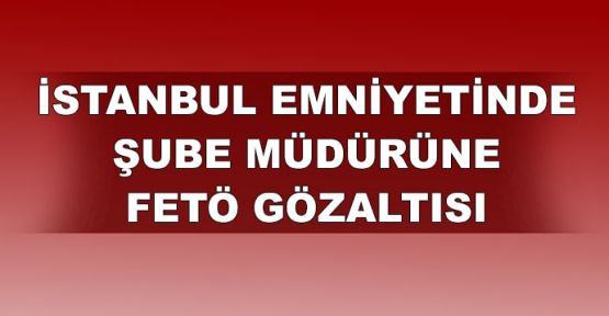 İstanbul Emniyeti'nde Şube Müdürü'ne FETÖ gözaltısı