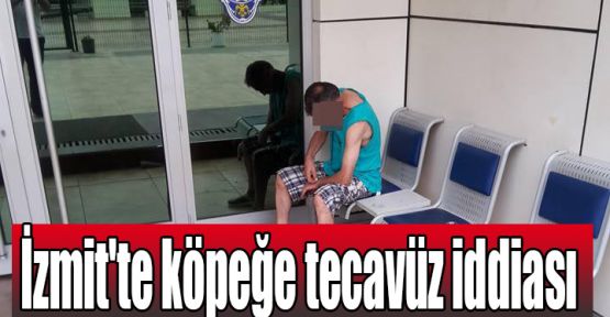 İzmit'te köpeğe tecavüz iddiası  