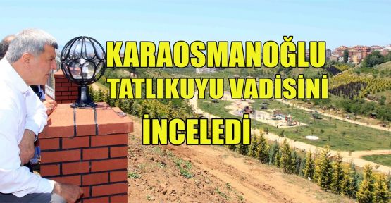 Karaosmanoğlu, Gebze'de incelemeler yaptı