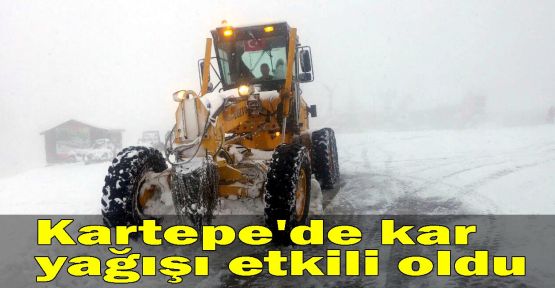 Kartepe'de kar yağışı etkili oldu