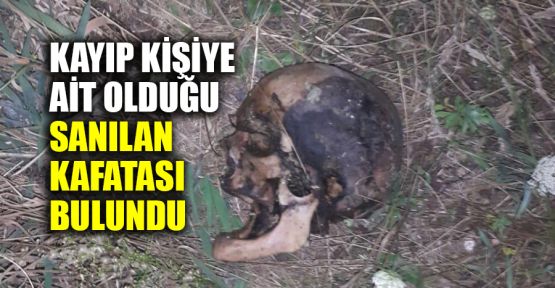  Kayıp kişiye ait olduğu sanılan kafatası bulundu