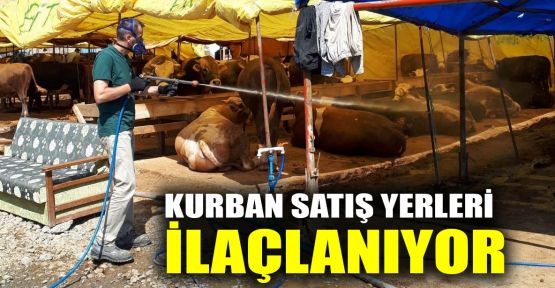  Kurban satış yerleri ilaçlanıyor 