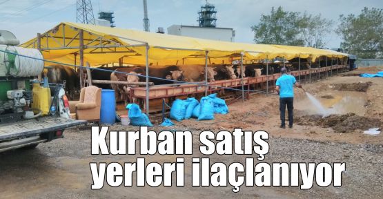 Kurban satış yerleri ilaçlanıyor