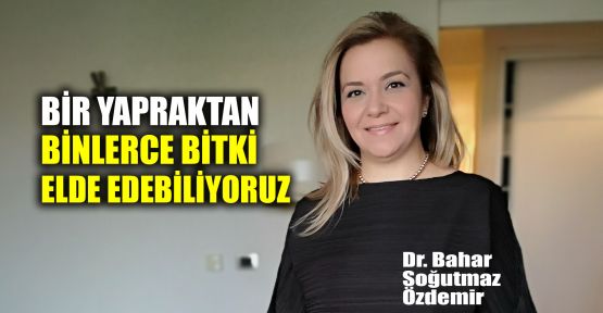  Özdemir: Bir yapraktan binlerce bitki elde edebiliyoruz