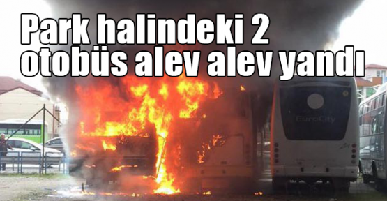 Park halindeki 2 otobüs alev alev yandı