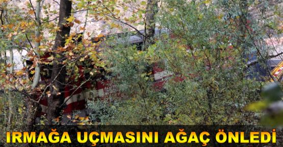 Raydan çıkan yük treninin ırmağa uçmasını ağaç önledi