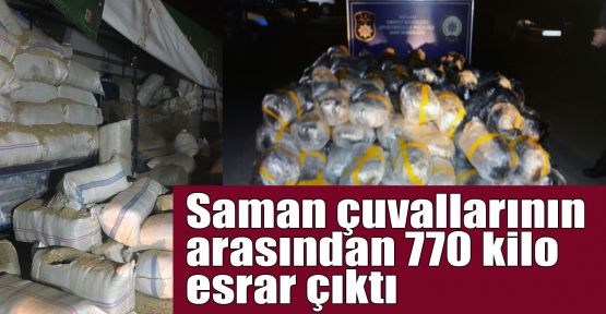 Saman çuvallarının arasından 770 kilo esrar çıktı