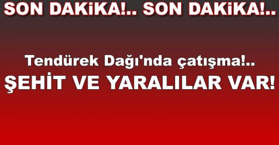 Tendürek Dağı'nda çatışma!.. Şehit ve yaralılar var!