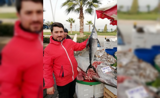 Kocaeli'de 380 kilogramlık balık ilgi odağı oldu