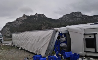 Osmaneli'de devrilen tırın sürücüsü yaralandı