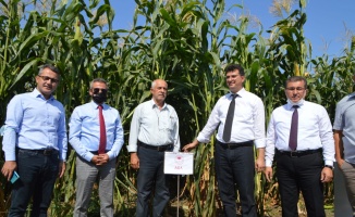 Trakya çiftçisinin yerli tohumlara yöneldiği belirtildi