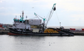 Marmara Denizi'nde ulaşıma poyraz engeli