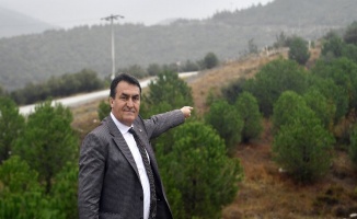 Bursa Osmangazi'de '1 Milyon Fidan' ormana dönüşüyor