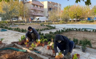 İzmir Bergama'da parklar güzelleşiyor 