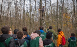 Kocaeli Ormanya'da yaban hayatı yakından tanıdılar