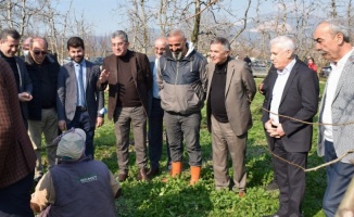 CHP'li Günaydın Bursa Gürsu'da üreticinin sesi oldu