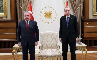 Cumhurbaşkanı Erdoğan TBMM Başkanı Şentop'u kabul etti