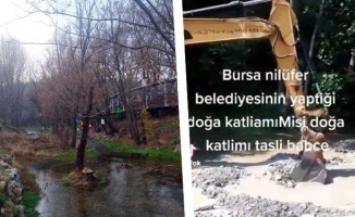 Bursa Nilüfer Belediyesi'nden Misi'de doğa katliamı!