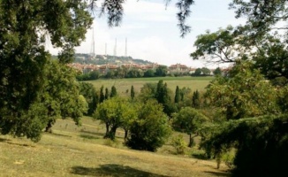 Mahkeme Validebağ'da İstanbul Büyükşehir Belediyesi haklı buldu