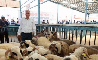 Çiftçiye Küçükbaş Hayvan Yıkama Makinesi” desteği