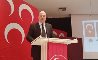 Ahmet Özkaya’dan Merih Demiral’a verilen cezaya tepki