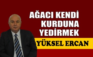 Ağacı kendi kurduna yedirmek