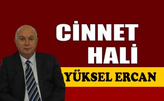 Cinnet hali