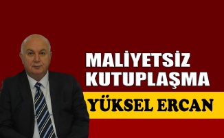 Maliyetsiz kutuplaşma