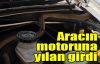  Aracın motoruna yılan girdi