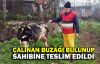  Çalıntı ihbarı yapılan buzağı sahibine teslim edildi