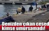  Denizden çıkan cesedi kimse umursamadı!