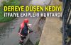  Dereye düşen kediyi itfaiye ekipleri kurtardı