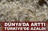 Dünyada arttı, Türkiye'de azaldı