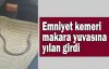 Emniyet kemeri makara yuvasına yılan girdi