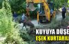  Kuyuya düşen eşek kurtarıldı