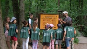 Ormanya Yaz Okulu başlıyor